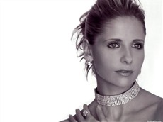 Sarah Michelle Gellar #055 Wallpapers Pictures Photos Images