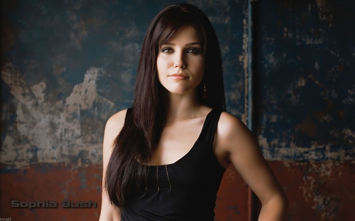 Sophia Bush #004 Wallpapers Pictures Photos Images Backgrounds