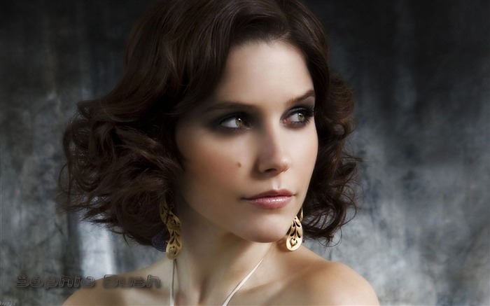 Sophia Bush #015 Wallpapers Pictures Photos Images Backgrounds